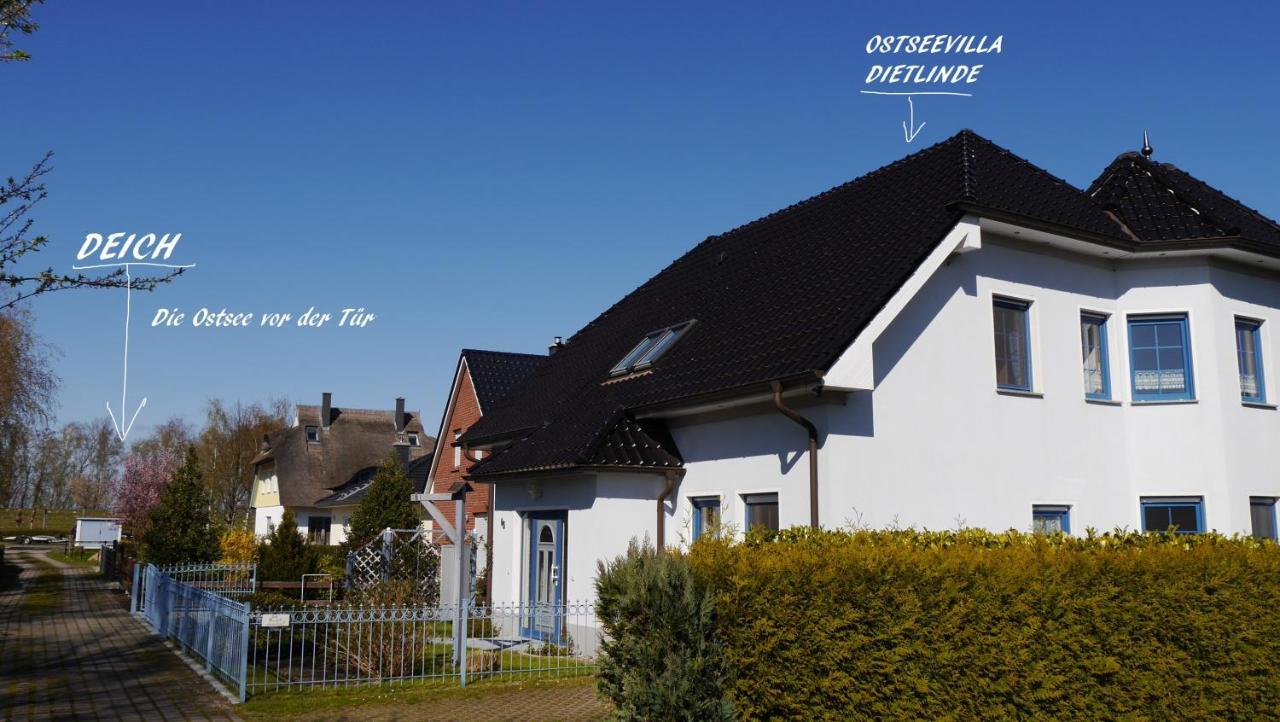 Ostseevilla Dietlinde Zingst Ngoại thất bức ảnh